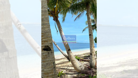 Land for sale in Santa Cruz, Surigao del Norte