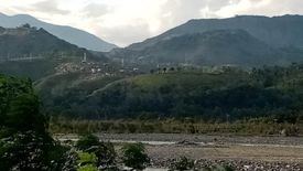 Land for sale in Almaguer North, Nueva Vizcaya