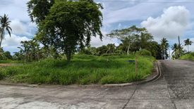 Land for sale in Anilao, Batangas