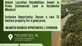 Land for sale in San Luis, Occidental Mindoro