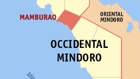 Land for sale in Tayamaan, Occidental Mindoro