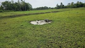 Land for sale in Mandawa, Bohol