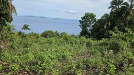 Land for sale in Bayacabac, Bohol