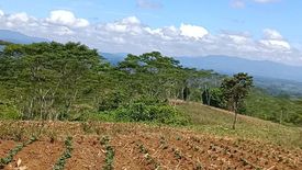 Land for sale in Salucot, Bukidnon