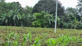 Land for sale in Liboran, Bukidnon