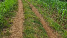 Land for sale in Liboran, Bukidnon