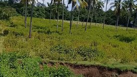Land for sale in Poblacion, Misamis Oriental