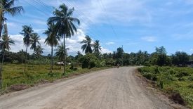 Land for sale in Poblacion, Misamis Oriental
