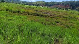 Land for sale in Kinawe, Bukidnon