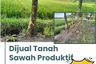 Tanah dijual dengan  di Sidorejo, Jawa Timur