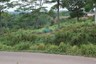 Land for sale in Cimarga, Banten