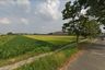 Tanah dijual dengan  di Ceper, Jawa Tengah