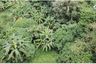 Land for sale in Sodong, Banten