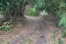 Land for sale in Curug Wetan, Banten