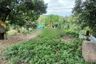Land for sale in Karang Joang, East Kalimantan