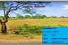 Land for sale in Sumberjaya, West Java