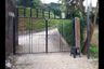 10 Bedroom Villa for sale in Nanggung, West Java