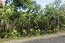Land for sale in Kebonsari, East Java