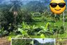 Tanah dijual dengan  di Ngargoyoso, Jawa Tengah
