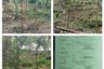 Tanah dijual dengan  di Karangsari, Jawa Barat