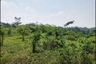 Land for sale in Warungbanten, Banten
