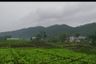 Tanah dijual dengan  di Pandan Rejo, Jawa Timur