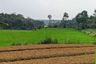 Land for sale in Babakancikao, West Java