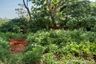 Land for sale in Gunung Pati, Central Java