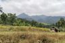 Tanah dijual dengan  di Cipancar, Jawa Barat