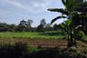 Tanah dijual dengan  di Tutur, Jawa Timur