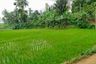 Tanah dijual dengan  di Nagrikidul, Jawa Barat