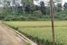 Land for sale in Bungursari, West Java
