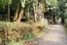 Land for sale in Kiarapedes, West Java