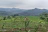 Land for sale in Parakansalam, West Java