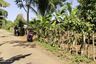 Tanah dijual dengan  di Kiarapedes, Jawa Barat