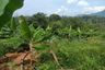Tanah dijual dengan  di Sukamakmur, Jawa Barat