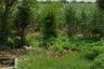 Land for sale in Puloniti, East Java