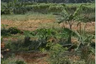 Land for sale in Tegal Waru, West Java