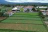 Land for sale in Kiarapedes, West Java