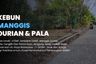 Land for sale in Kiarapedes, West Java