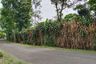 Land for sale in Wanayasa, West Java