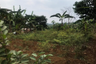 Land for sale in Atang Senjaya, West Java