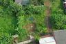 Land for sale in Tigaraksa, Banten