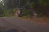 Land for sale in Trawas, East Java