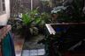 7 Bedroom House for sale in Utan Kayu Utara, Jakarta