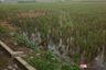 Land for sale in Tanjungpakis, West Java