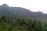 Land for sale in Sukamakmur, West Java