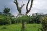 Tanah dijual dengan  di Cibogor, Jawa Barat