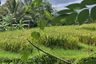 Tanah dijual dengan  di Abian Tuwung, Bali