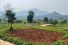 Land for sale in Tanjung Sari, West Java
